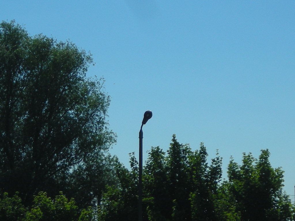 DSCN5930