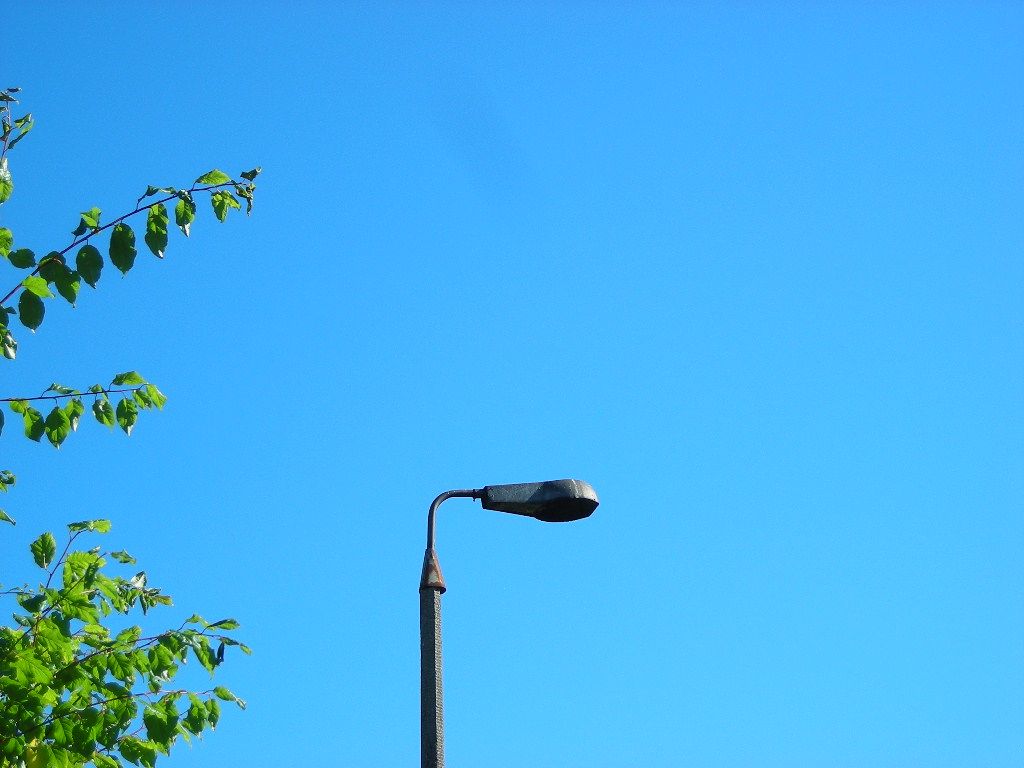 DSCN5932