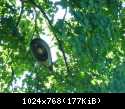 DSCN5937