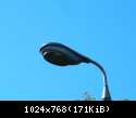 DSCN5941