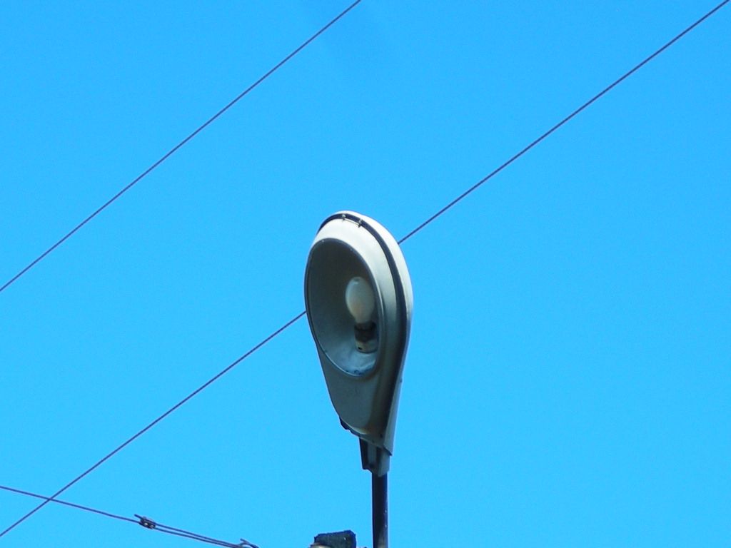 DSCN5942