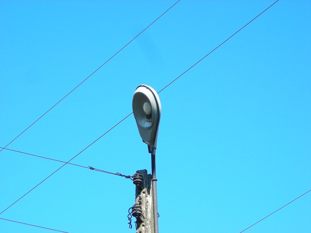 DSCN5943