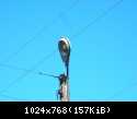 DSCN5943