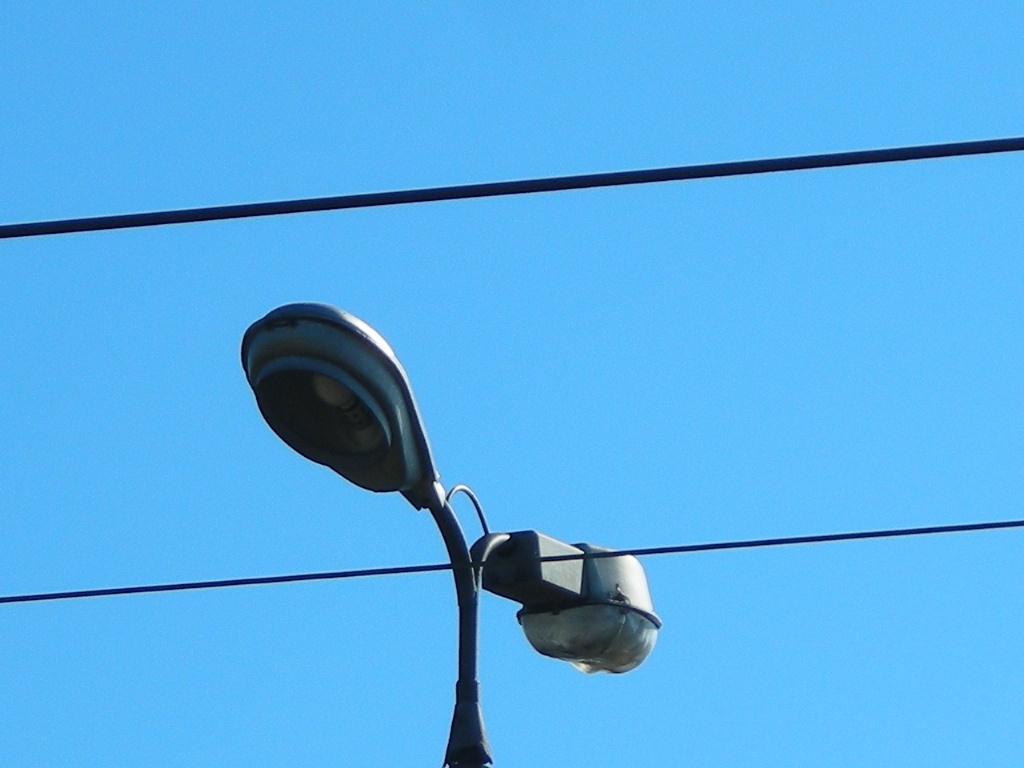 DSCN5948