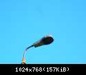 DSCN5949