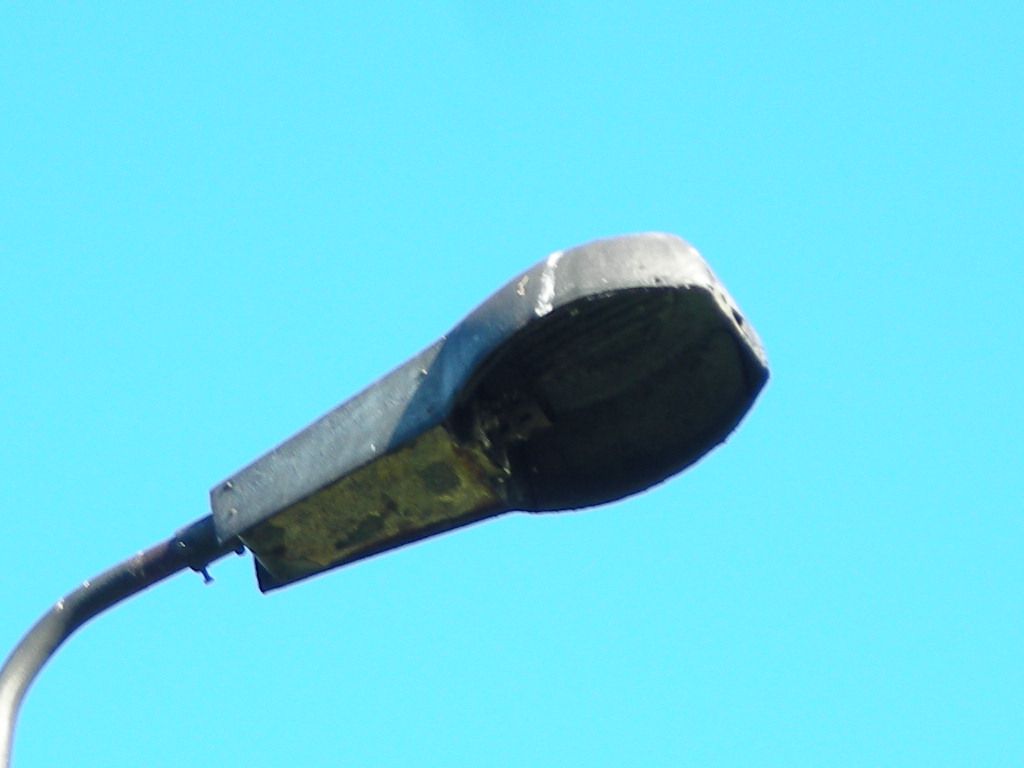 DSCN5950