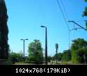 DSCN5951