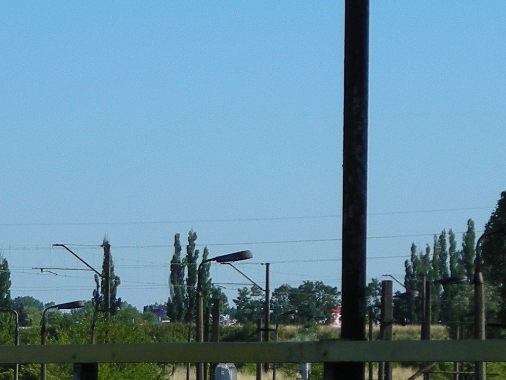 DSCN5954
