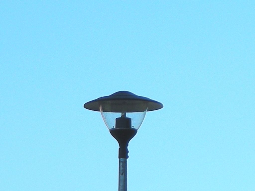 DSCN5960