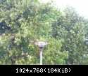 DSCN5963