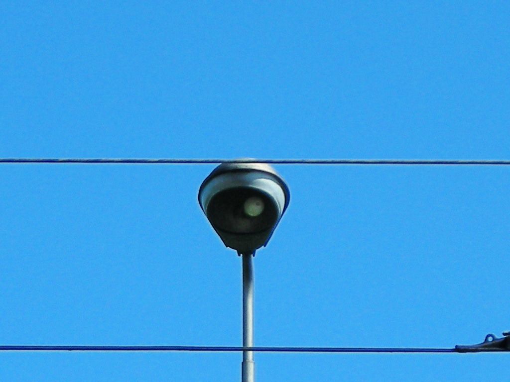 dSCN5968