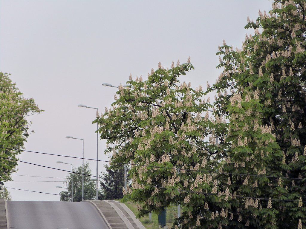 P1020565