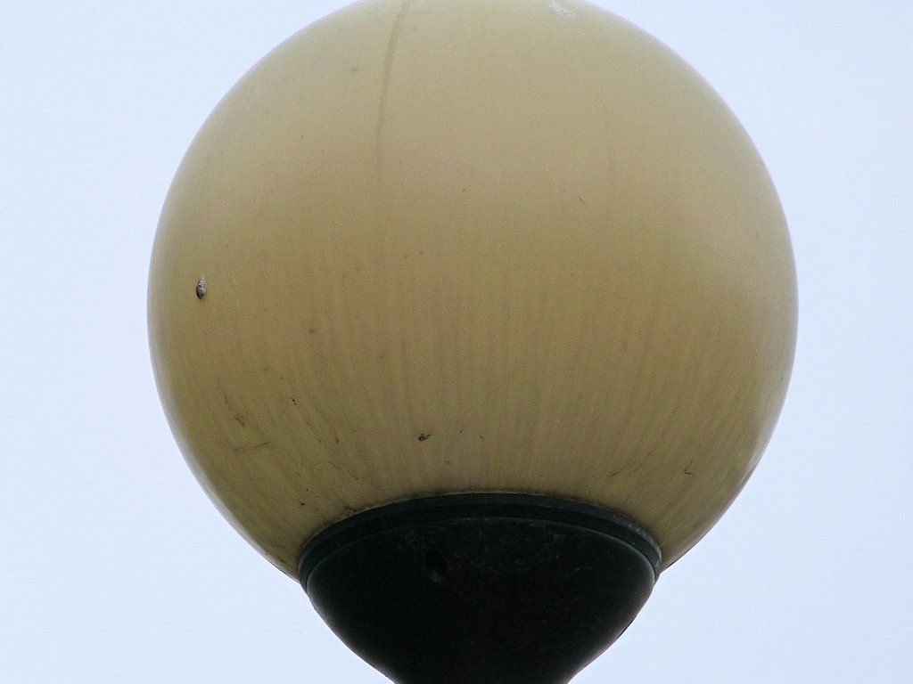 OCP