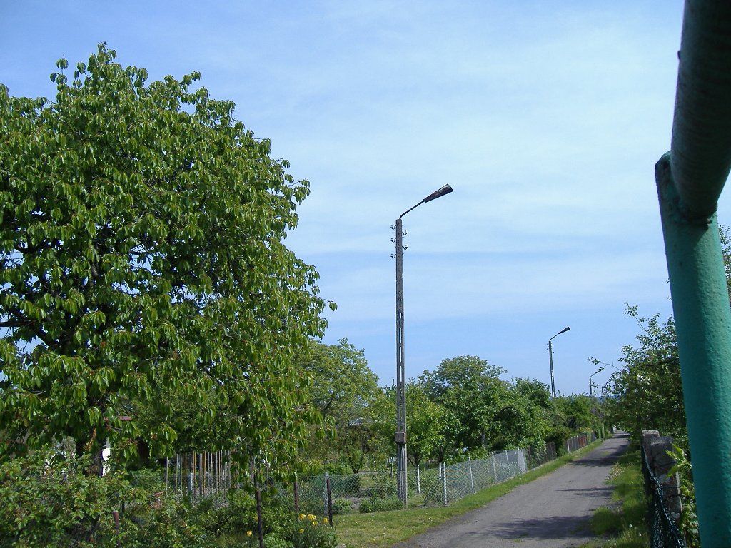 Trumienki na terenie ogródków działkowych