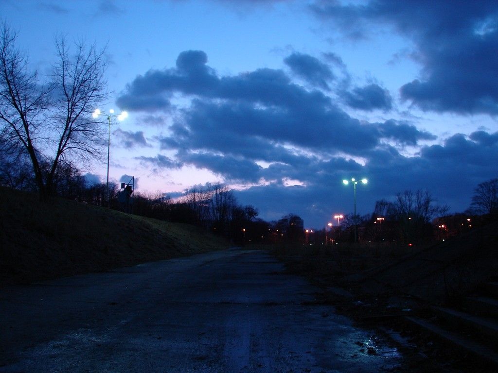 DSC06293