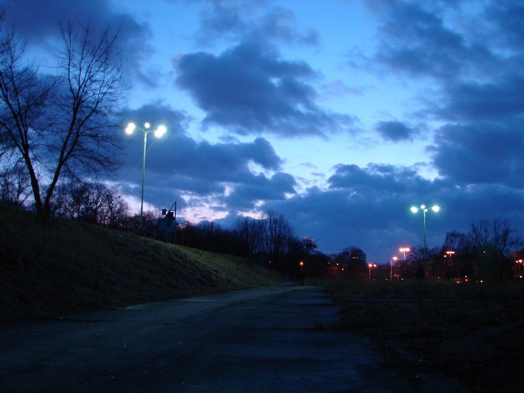 DSC06300