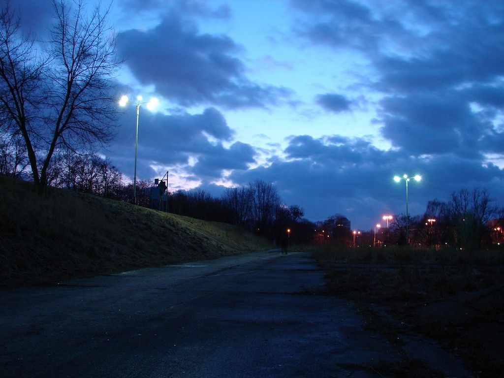 DSC06301