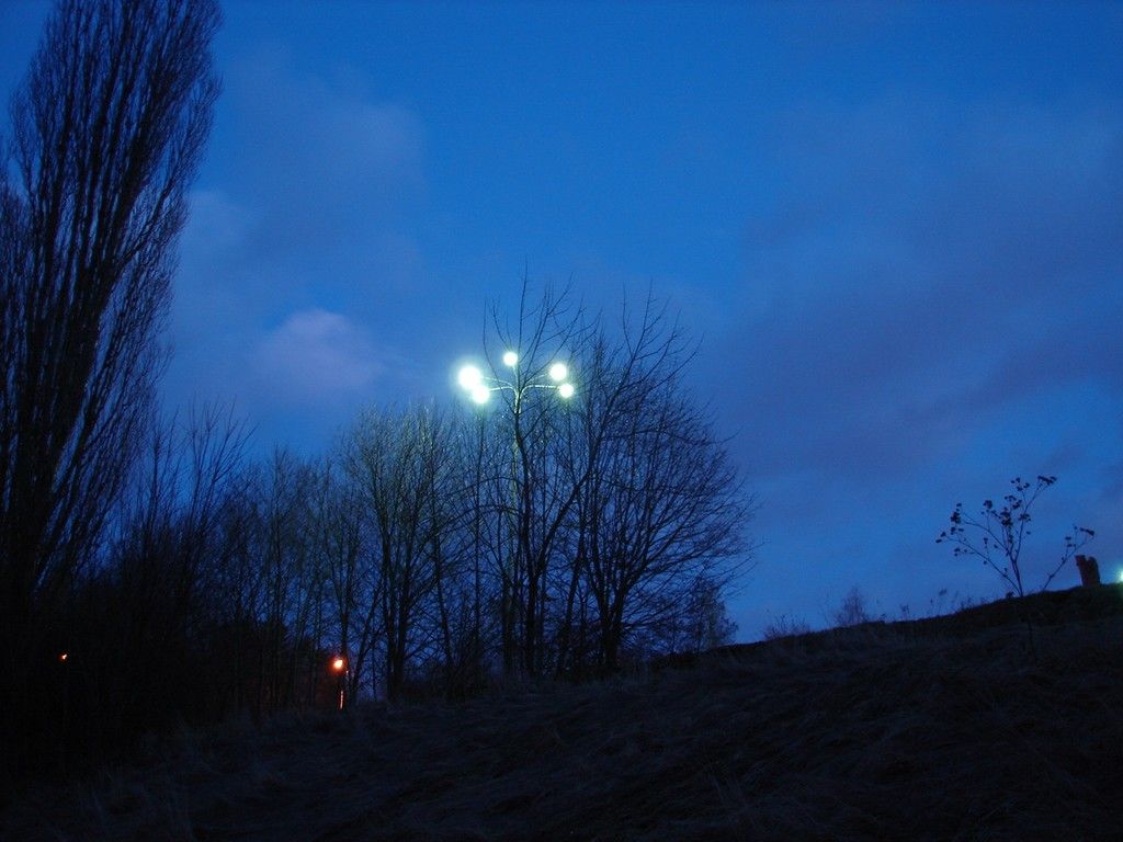 DSC06302