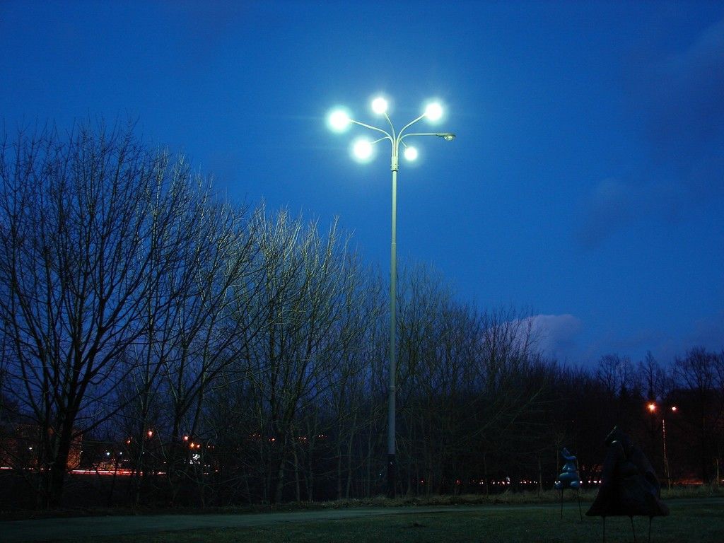DSC06304