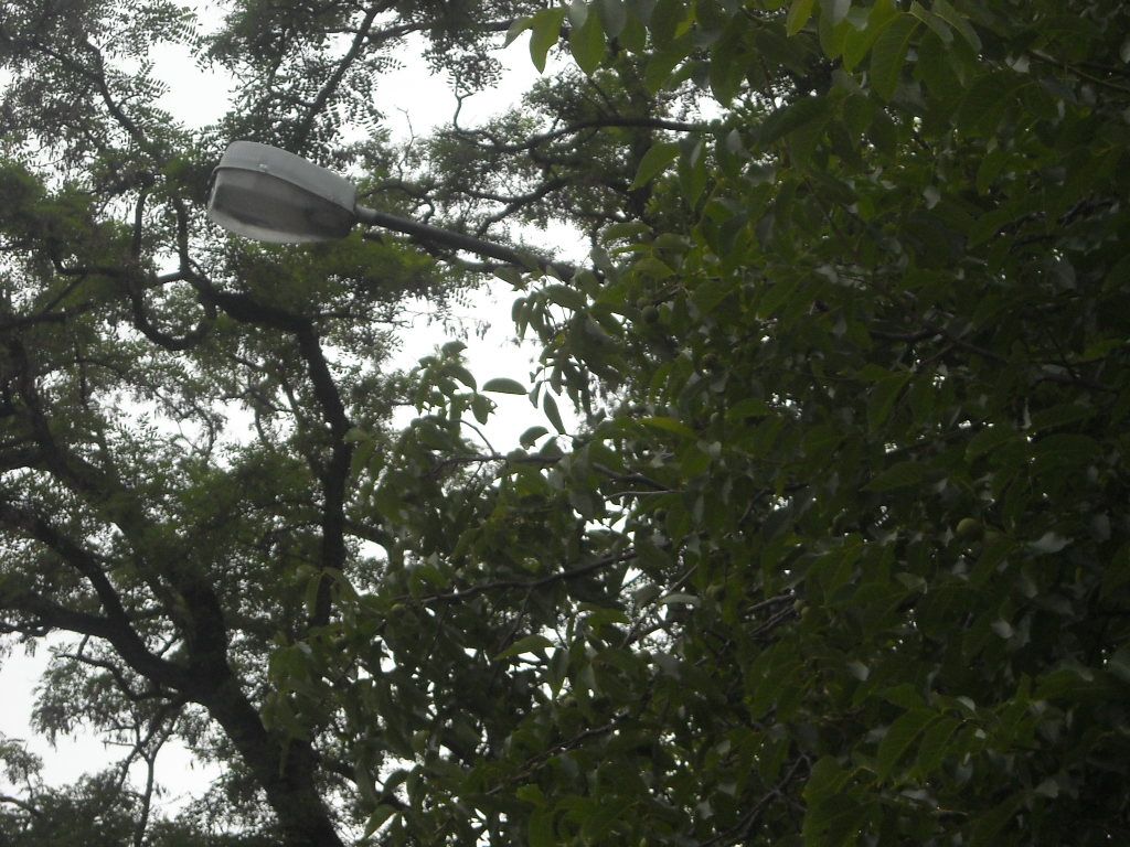 aparat 017