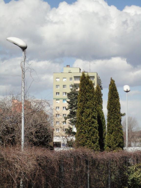 Lunoida 4