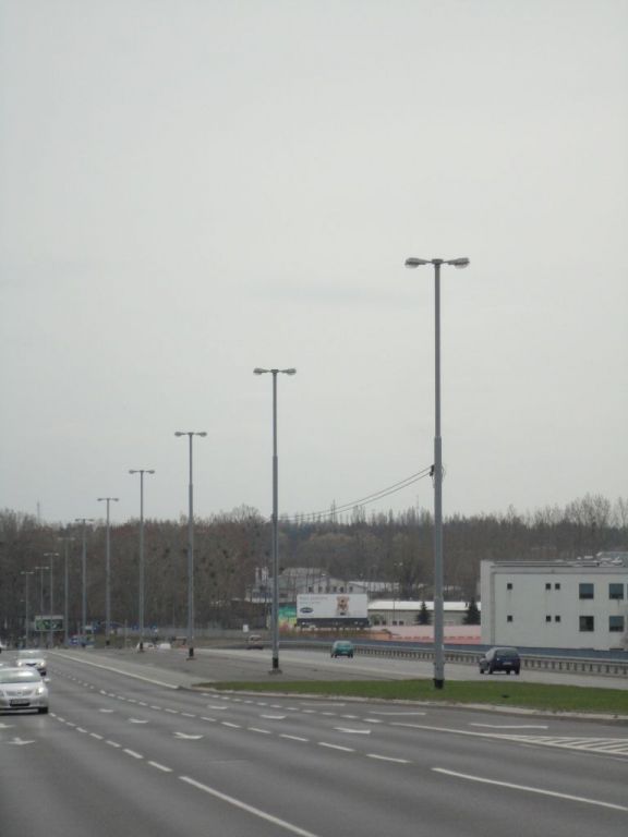 kwiaty 71