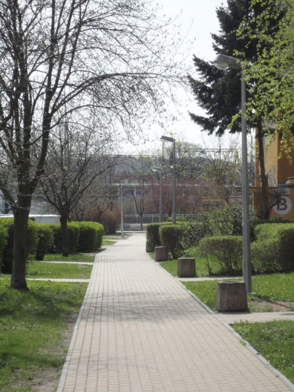 leda 13