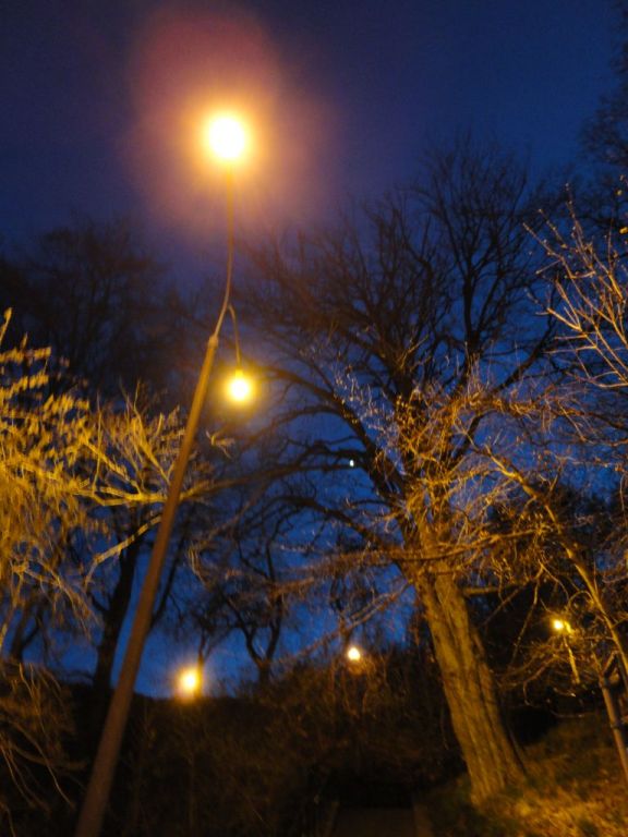 zdjęcia nocne 47