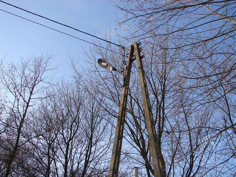 DSC04966