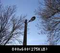 DSC04971