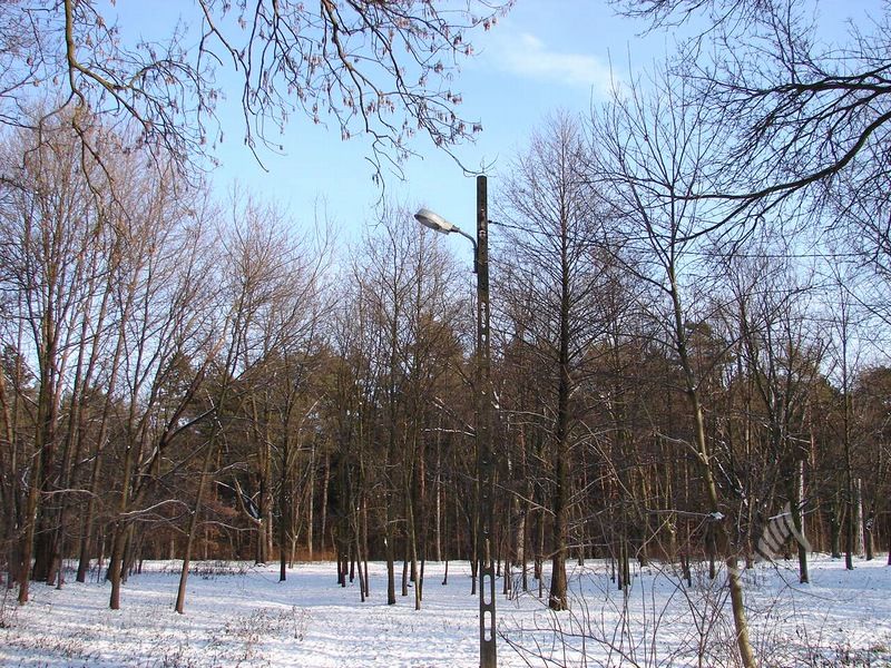 DSC04974