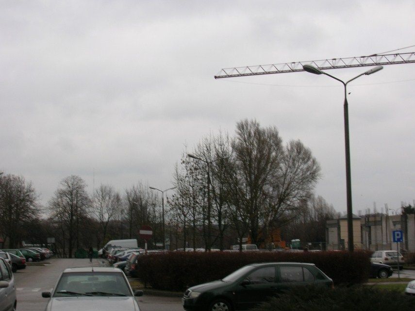 DSCN4222 (855 x 641)