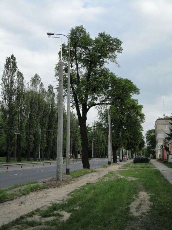 Aleja Zwycięstwa 1