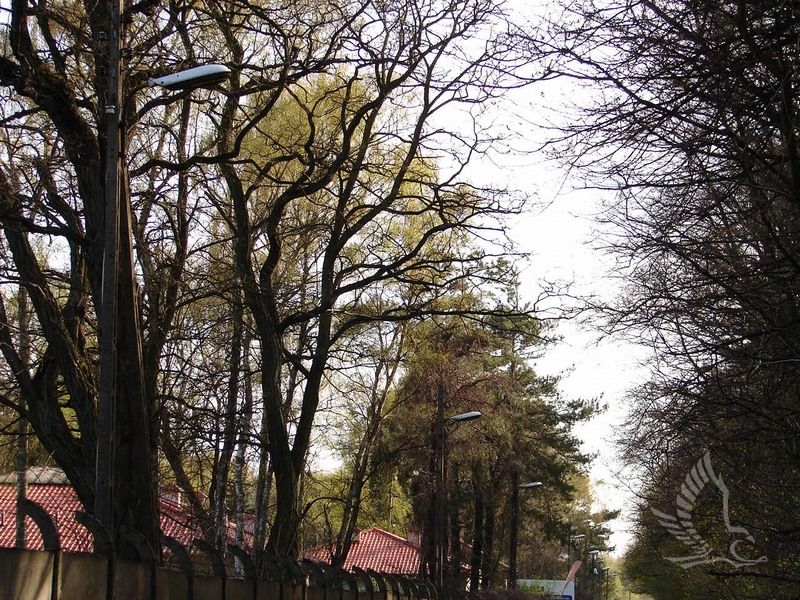 DSC00141