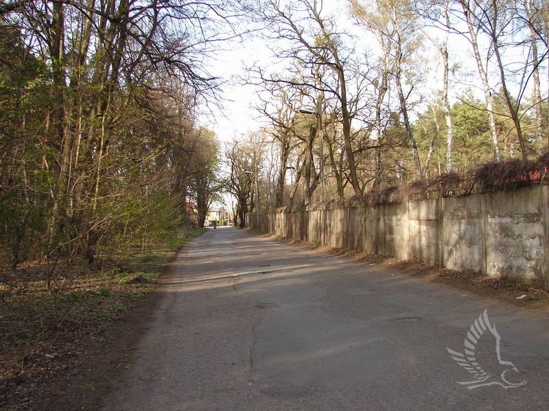DSC00148