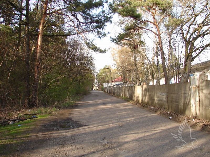 DSC00152
