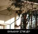 DSC00154