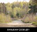 DSC00155