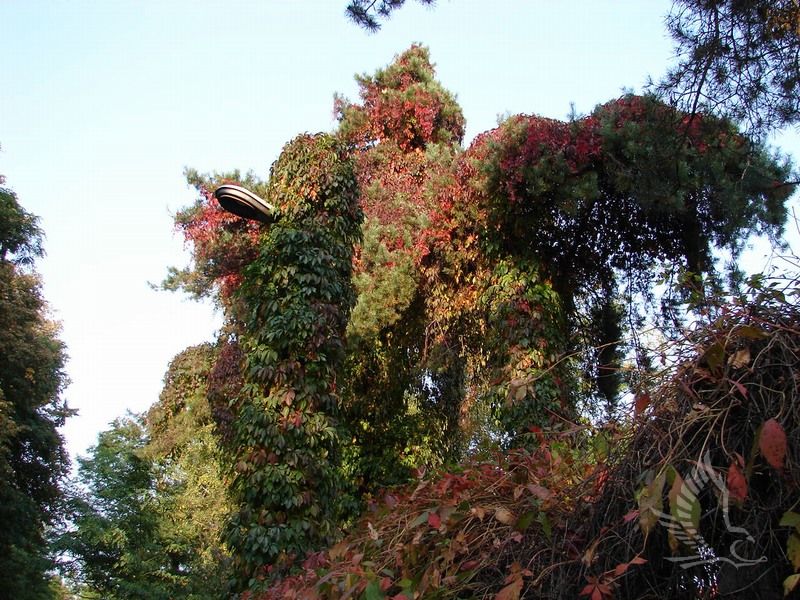 DSC03166