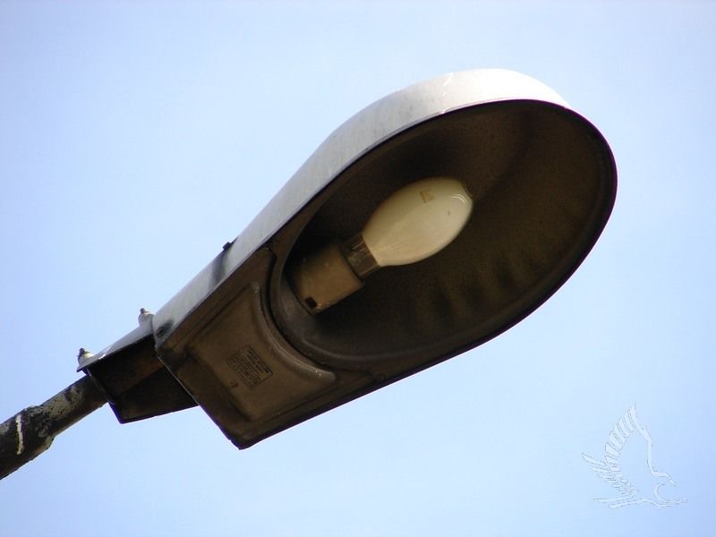 DSC00021