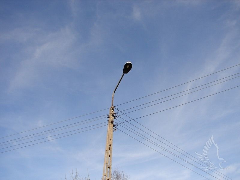 DSC00027