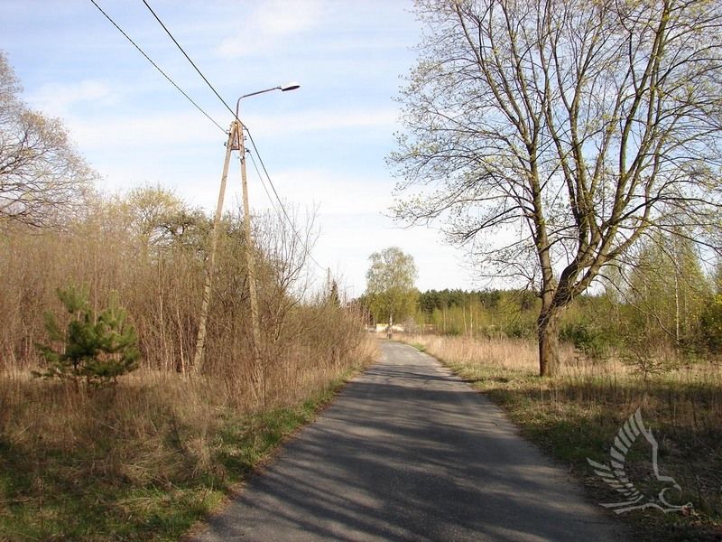 DSC00032