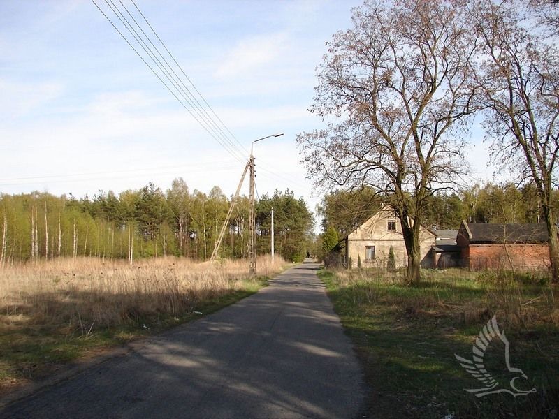 DSC00044