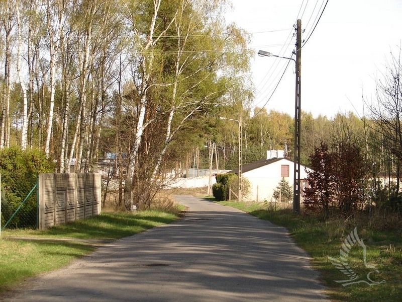 DSC00064