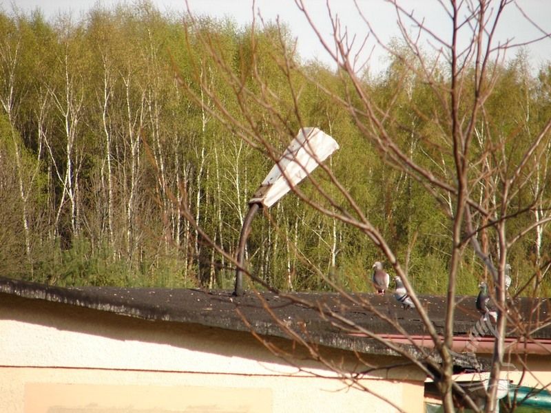 DSC00070