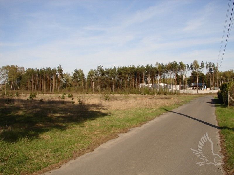 DSC00073