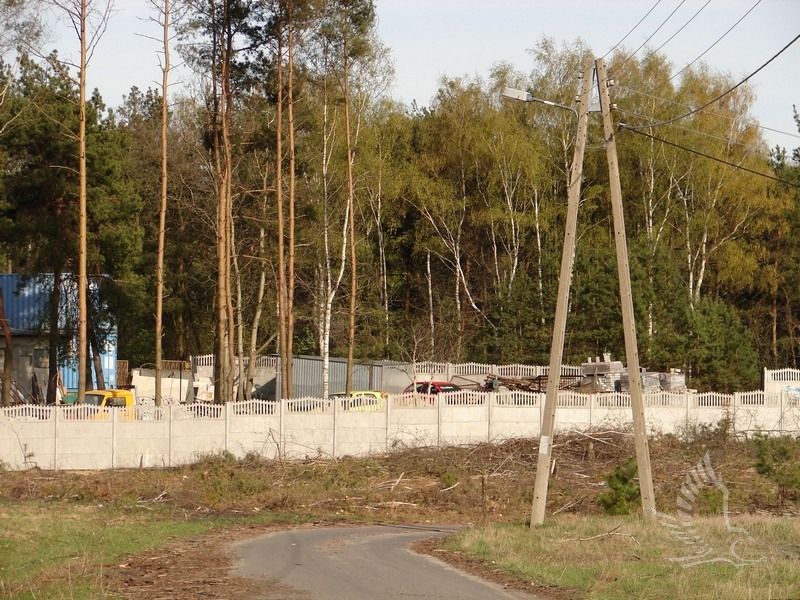 DSC00083