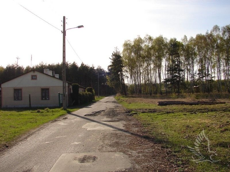 DSC00090