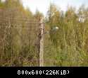 DSC00094