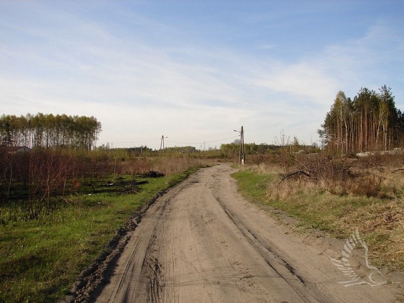 DSC00110